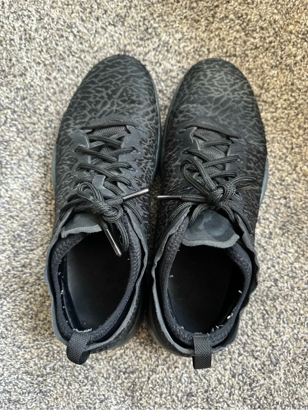 Nike Air Jordan Trainer 1 Low Black Anthracite Sneaker